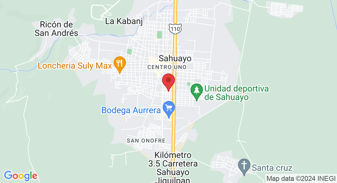 C. Federico Higareda 406, Noria de Montes, 59099 Sahuayo de Morelos, Mich., Mexico